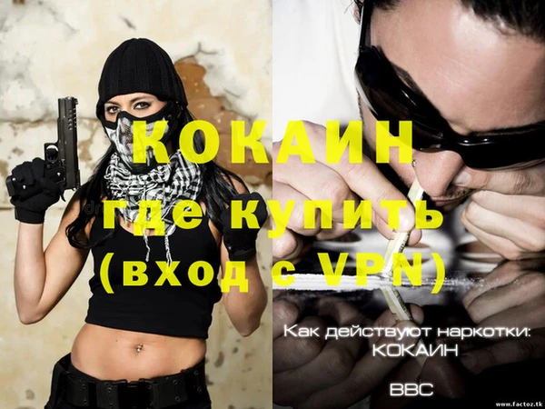 винт Алзамай