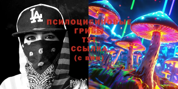 винт Алзамай