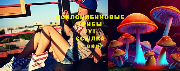 СК Алексин
