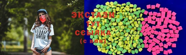 СК Алексин