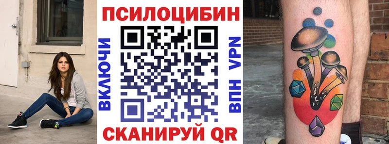 Псилоцибиновые грибы Magic Shrooms  OMG как зайти  Любань 